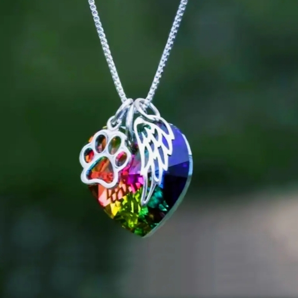Jewelry - NEW Paw Angel Wings Pendant Necklace